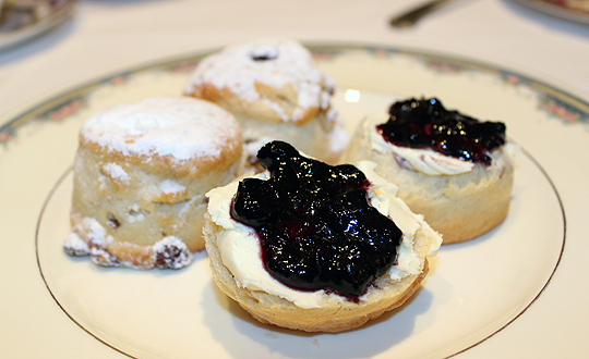 Warm butter & raisin scones: house-made blueberry preserves with Devonshire clotted cream