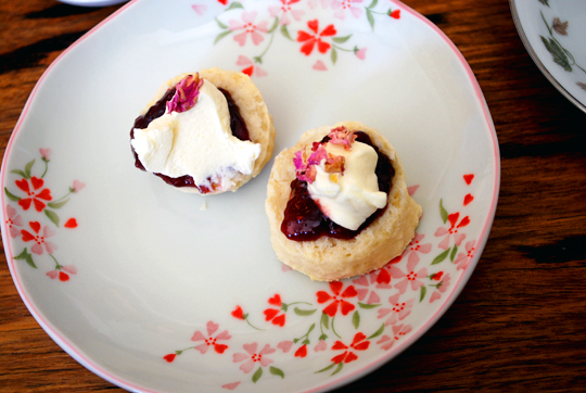 Homemade scones with jam and cream