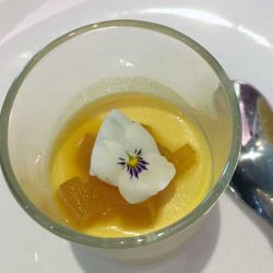 Mango panna cotta with passionfruit jelly