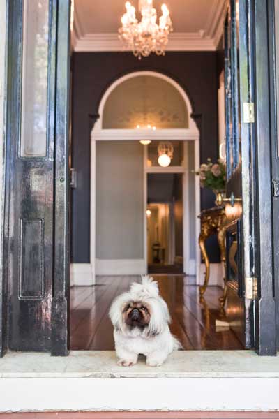 Dogs are welcome at The Hughenden Hotel