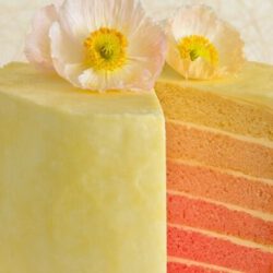 Pink Ombre Layer Cake Recipe