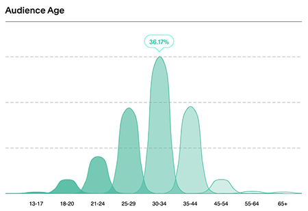 Demographics - Audience Age