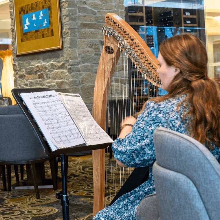 Harpist, photo credit: Liz Campbell
