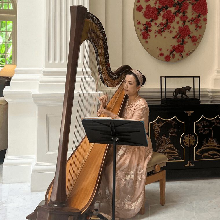 Harpist
