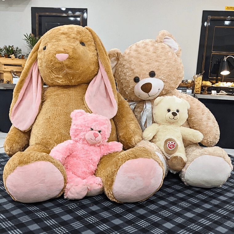 Teddy Bear, photo credit: Cherry Anna Dunlop