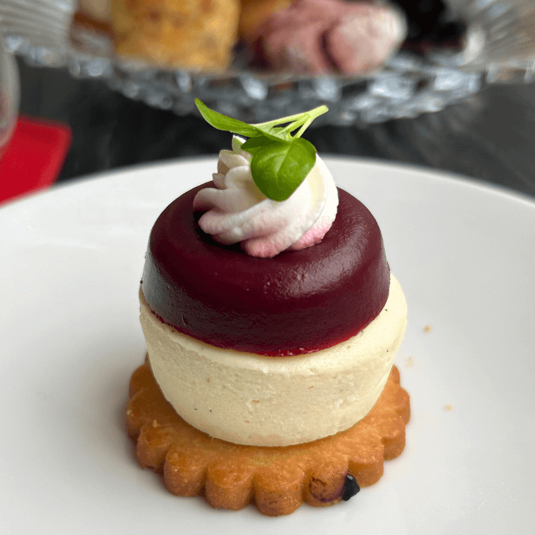 Miniature Morello Cherry New York Cheesecake