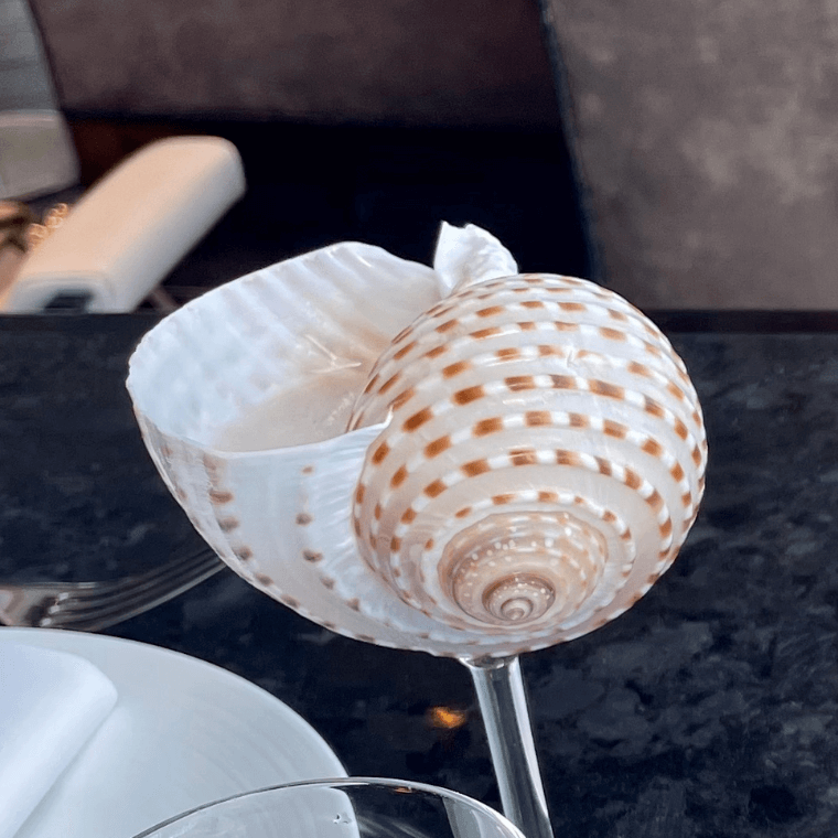 Shell glass, photo: by Sylvie Woods
