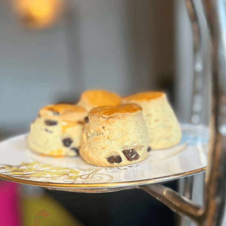 Freshly Baked Raisin and Plain Scones