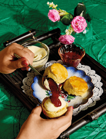Raymond Tan & Audrey Paynes Wholemeal Scone Recipe